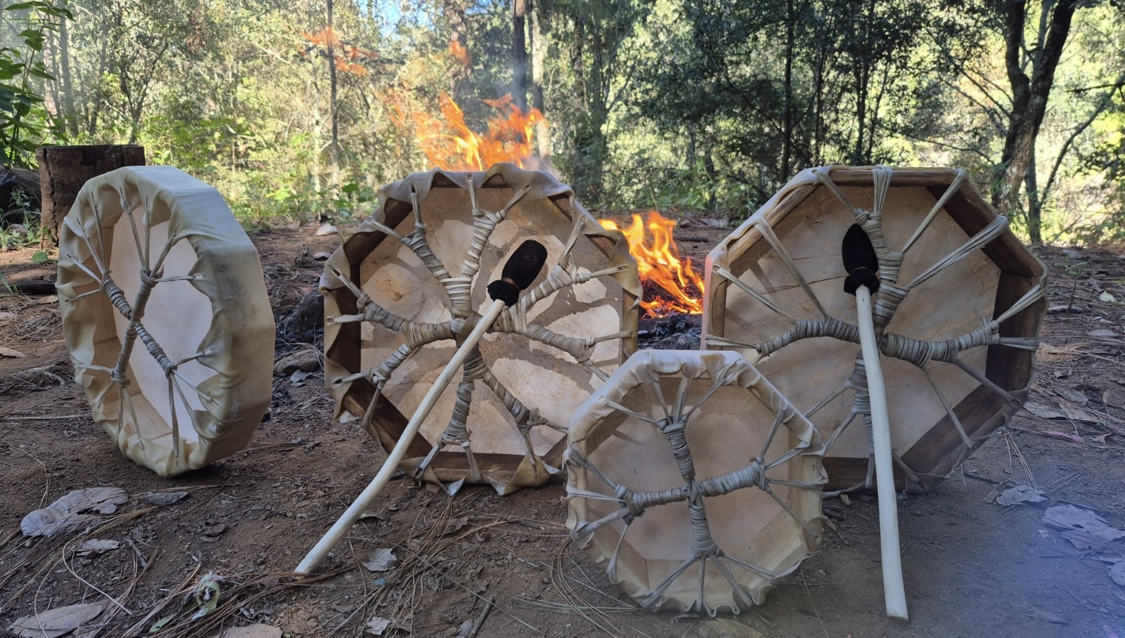 C8296D36 EDDC 4320 8B50 33F3A53FA760 1 201 A