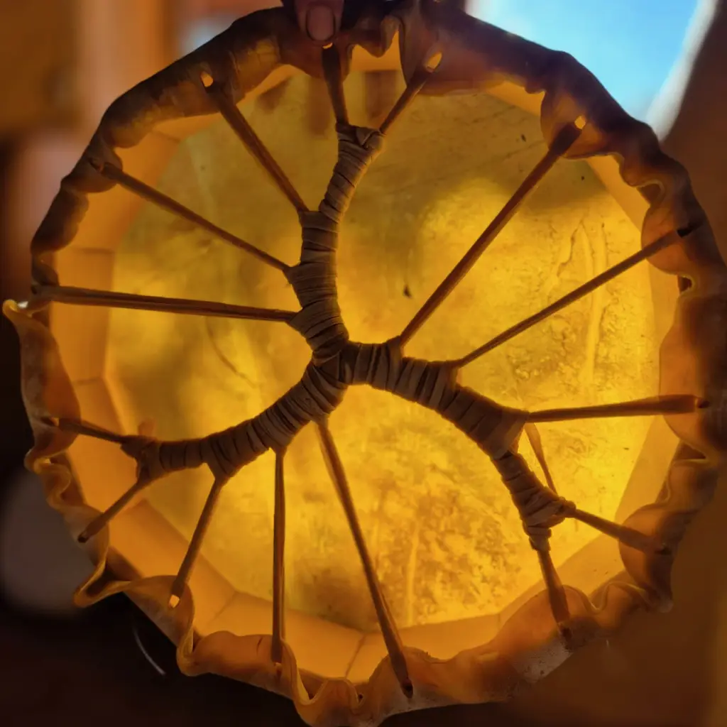 whatsapp image 2025 12 12 at 11.24.36