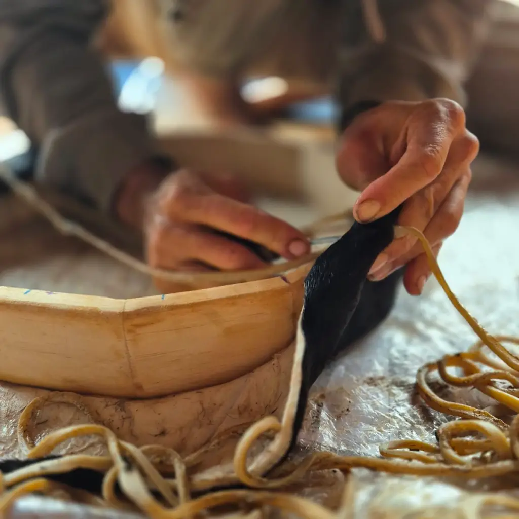 whatsapp image 2025 12 12 at 11.28.05