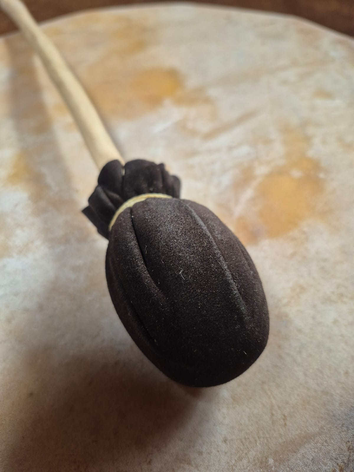 WhatsApp Image 2026 03 21 At 17.17.25